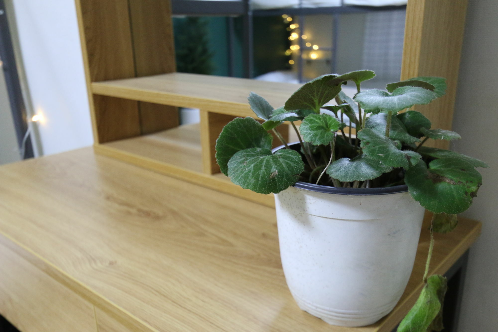 Guest house Hongdae Nanu Kpop